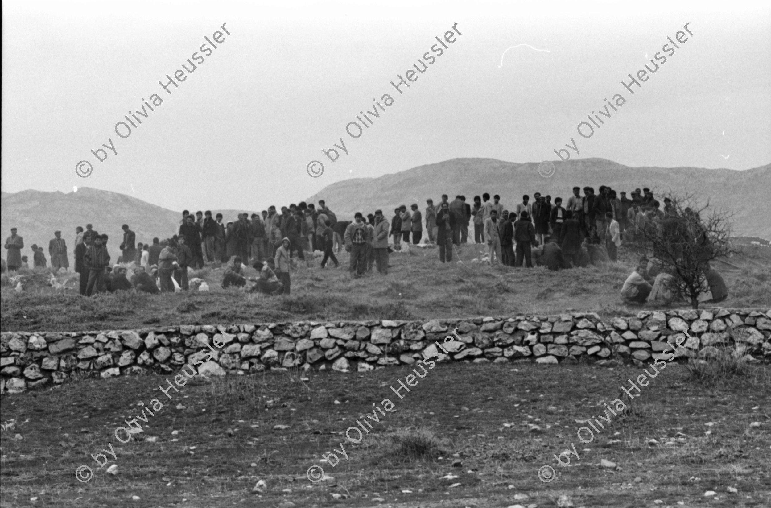 Image of sheet 19900990 photo 21: Kurdish peasants in sorrow during the funeral of Kudret Filiz (27) who had been killed by the Turkish army. Filiz had been shot during manifestation against the Turkish repression in Kurdistan.  Region of Dabulö.
Press archive printed media published with the use of a photography by Olivia Heussler: NZZ Neue Zürcher Zeitung.