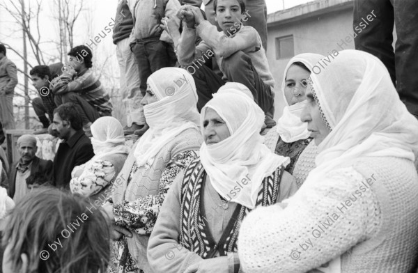 Image of sheet 19900990 photo 35: Journalist und Verwalter im Stadtzentralvorstand SPNr. 2 - 4 Hatip Dicle, Vorstandsmitglied IHD (Türkischer Menschenrechtsverein) in Diyarbakir Journalist an Schreibmaschine. Beerdigung in Lice von Kudret Filiz, 27 ig, Bäuerin. Männer und Frauen stehen getrennt. Männer stehen um das Grab und Hacken abwechslungsweise im harten Gestein. Das Grabloch. Das Fabrikgebäude. Portrait Frauen mit weissem Schal vermummt. Türkei Kurden Kurdistan Kurdish Turkey 
Lice (pronounced [ˈlidʒe]), (Kurdish: Licê) is a Kurdish district of Diyarbakır Province in Turkey. The population is 9,644 as of 2010. It is located 90 km (56 mi) from the capital, Diyarbakır. The mayor is Fikriye Aydın (BDP).