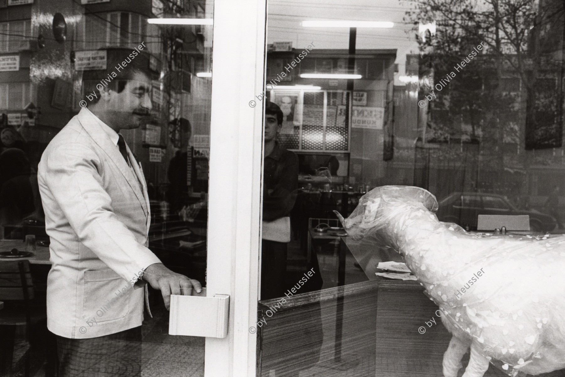 Image of sheet 19901000 photo 15: Der ausgestopfte Hammel Schafsbock im Schaufenster soll BesucherInnen animieren. Diyarbakit Türkei Kurdistan 12.90 Türkei Kurden Kurdistan Kurdish Turkey Turkish 1990 √