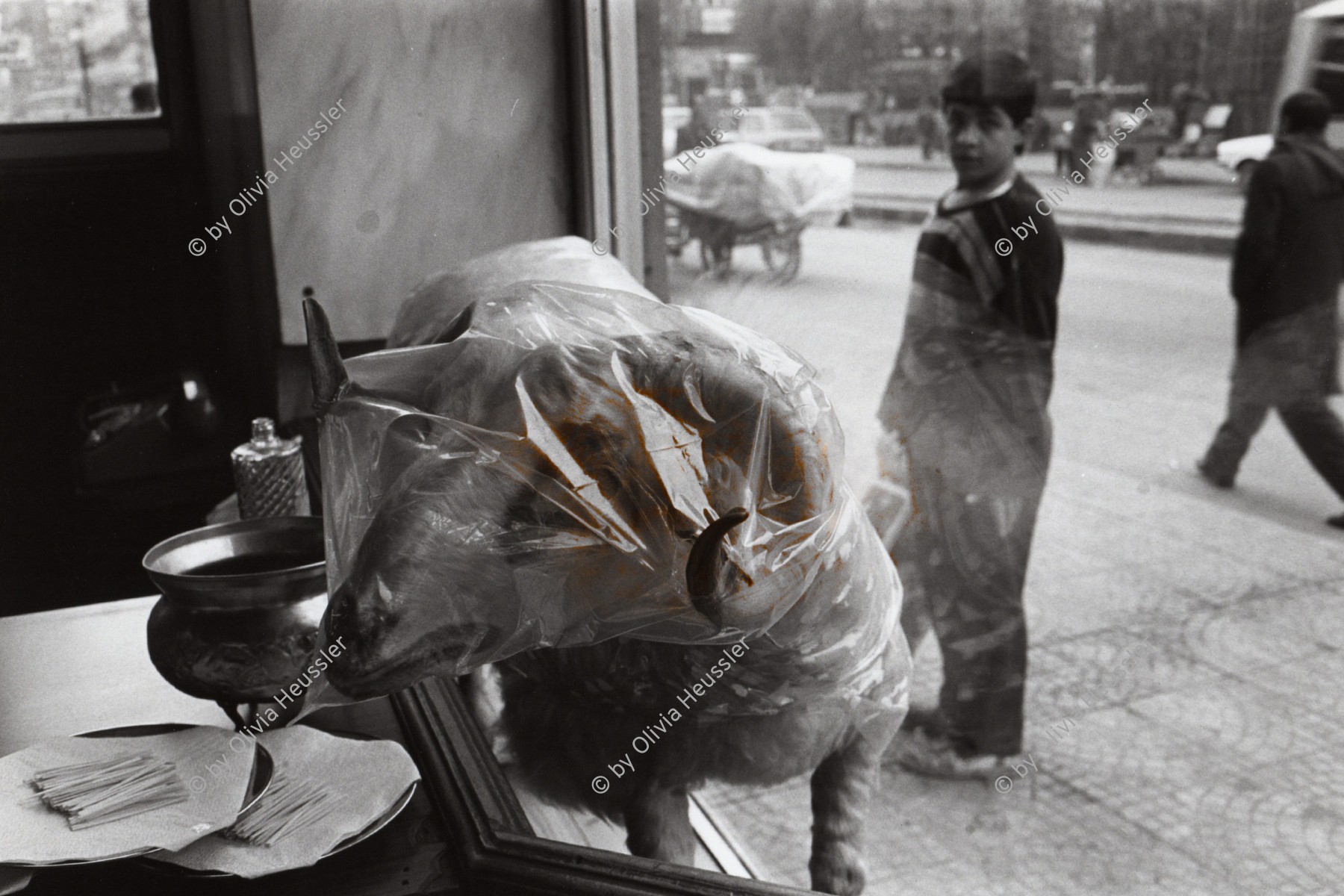 Image of sheet 19901000 photo 16: Der ausgestopfte Hammel Schafsbock bock Schaf im Schaufenster ist Werbung für das Restaurant. Dyarbakir Türkei Kurdistan 12.90
Türkei Kurden Kurdistan Kurdish Turkey Turkish 1990 √ eating meat food boy windows street old town stuffed lamb sheep in the window 
Out of: From time to time  / VonZeitzuZeit
Exhibition