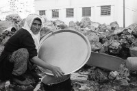 Image of sheet 19901030 photo 10: Kurdin wäscht Kuchenblech am Fluss der 'weissen Quelle' Midyat Kurdische Türkei Kurden Turkish Kurds Turkey Kurdish 1990 √