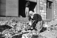 Image of sheet 19901030 photo 30: Dr. Karaman leitet als Arzt den Menschenrechtsverein in Nusaybin. Atatürk wacht auch über ihn und den Knaben.Bei der weissen Quelle auf dem Weg nach Seyhmehmet.Bauern Frauen waschen grosse Bleche am Fluss. Eine Frau trägt einen Kanister auf der Schulter. Sie trägt einen Schlüssel am Rock, was besagt, dass sie die Herrin im Haus ist und oder den Schlüssel zum Paradies besitzt.Kindergruppe. Mann pflügt mit Pferd den Acker. Am Postbüro PTT in Midyat kleben politische Propaganda Plakate gegen die PKK. Ein Schulhof, mit Atatürk s Siluette. Drei Frauen. Kohl wird ausgeladen. Die Frau schleppt und der Mann lächelt. Turkish Kurdish Kurdistan Kurds