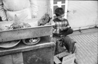 Image of sheet 19901050 photo 13: Ein Kurdischer Junge hilft neben seiner Schulzeit seinem Vater als Schuhputzer Geld zu verdienen. Dijarbakir. Türkei. 12.90 Turkey Kurdish Kurds Kurden Ostanatolien 1990 √