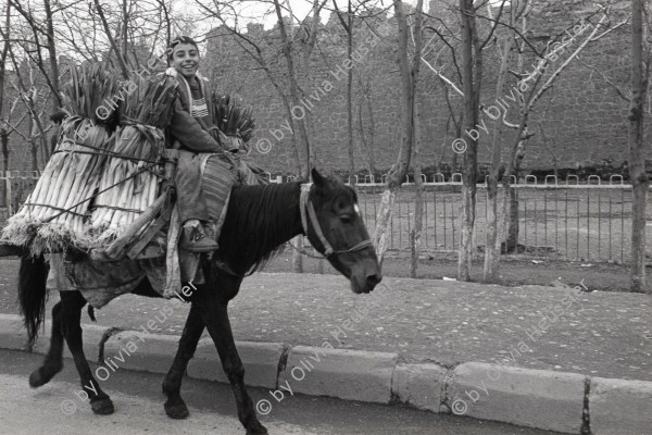 Image of sheet 19901050 photo 4: Eine Junge transportiert Lauch auf einem Maulpferd in die Stadt zum Markt von  Djyarbakir. Im Hintergrund die alte Stadtmauer. Kurdish Turkey Kurds Kurdische Türkei  Ostanatolien 1990 √