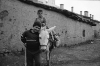 Image of sheet 19901060 photo 2: Diyarbakır (Diarbekir, osmanisch ‏دیاربکر‎ Diyâr-i Bekr, „Land von Bekr“, zazaisch und kurdisch Diyarbekir bzw. Amed, griechisch Ἄμιδα und syrisch-aramäisch (Amed) bzw. (Amid) (Amida), armenisch Ամիդա) ist mit 843.460 Einwohnern (Stand Ende Dezember 2010) nach Gaziantep die zweitgrößte Stadt Südostanatoliens. Diyarbakır liegt auf einem Basaltplateau am rechten Tigrisufer in Südostanatolien.

Knaben auf einem Esel. Ein Durchgang durch die alte Stadtmauer. Es geht eine muslimische Fundamentalistin vorüber. Ein Knabe kommt mir entgegen. Spiegelung eines Brotverkäufers in einer Pfütze. Kinder spielen in einer alten Hausfassade einer Ruine.Peschmerga.transportieren Getreide. Totenkopf an der Wand. Koran Schule für Knaben. Durch Gitter hindurch. Knabe verkauft bretzeln. Im Beifahrer wagen liegt ein Totes Gefieder. Am Markt. Knaben verkaufen Süssspeisen und tragen die Bleche auf dem Kopf. Diyarbakir Kurden 
Kurdische Türkei Kurden Turkish Kurds Turkey Kurdish 1990