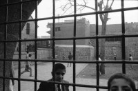Image of sheet 19901060 photo 22: Diyarbakır (Diarbekir, osmanisch ‏دیاربکر‎ Diyâr-i Bekr,