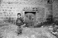 Image of sheet 19901060 photo 8: D