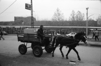 Image of sheet 19901070 photo 17: Kurds Kurdish Turkey Diyarbakir