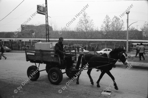 Image of sheet 19901070 photo 17: Kurds Kurdish Turkey Diyarbakir