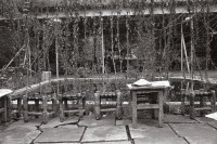 Image of sheet 19901070 photo 26: Tee haus in Diyarbakir. Türkei Kurdistan. 12.90
Kurdish Turkey Kurds Ostanatolien Kurden 1990 √ tea house chair plants

o. Aufkleber