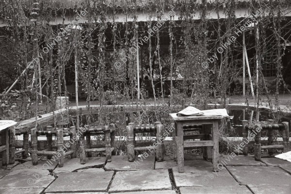 Image of sheet 19901070 photo 26: Tee haus in Diyarbakir. Türkei Kurdistan. 12.90
Kurdish Turkey Kurds Ostanatolien Kurden 1990 √ tea house chair plants

o. Aufkleber