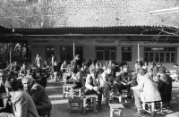 Image of sheet 19901080 photo 10: Kurdish Turkey Kurds