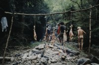 Image of sheet 19903000 photo 11: V