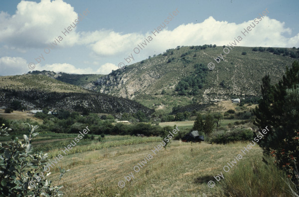 Image of sheet 19903000 photo 60: Von Gras ueberwucherter leerer Fernseh Monitor liegt auf der Erde. 1990 im St. Affrique, Aveyron. Frankreich.

19903000 04
TV; Fernseher; Monitor; Gras; Erde; Medien; kaputt; zerstoert; defekt; leer; Rahmen

{