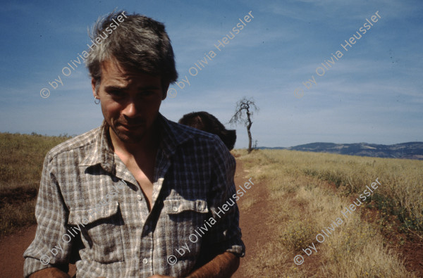 Image of sheet 19903000 photo 61: Von Gras ueberwucherter leerer Fernseh Monitor liegt auf der Erde. 1990 im St. Affrique, Aveyron. Frankreich.

19903000 04
TV; Fernseher; Monitor; Gras; Erde; Medien; kaputt; zerstoert; defekt; leer; Rahmen

{