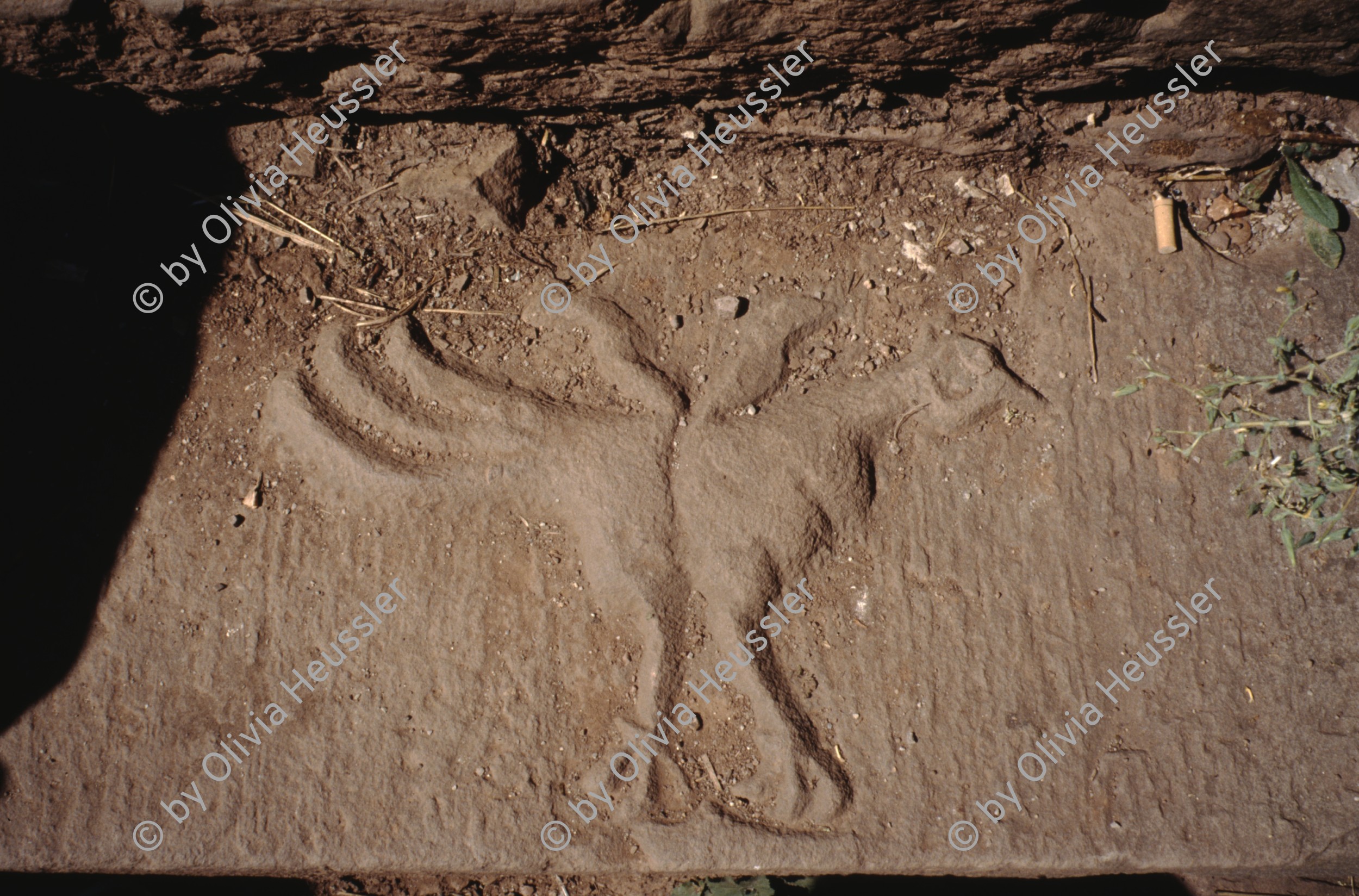 Image of sheet 19903000 photo 64: Von Gras ueberwucherter leerer Fernseh Monitor liegt auf der Erde. 1990 im St. Affrique, Aveyron. Frankreich.

19903000 04
TV; Fernseher; Monitor; Gras; Erde; Medien; kaputt; zerstoert; defekt; leer; Rahmen

{