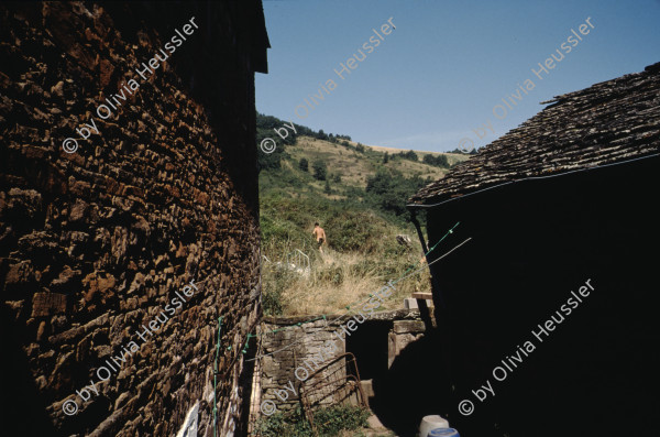 Image of sheet 19903000 photo 70: Von Gras ueberwucherter leerer Fernseh Monitor liegt auf der Erde. 1990 im St. Affrique, Aveyron. Frankreich.

19903000 04
TV; Fernseher; Monitor; Gras; Erde; Medien; kaputt; zerstoert; defekt; leer; Rahmen

{