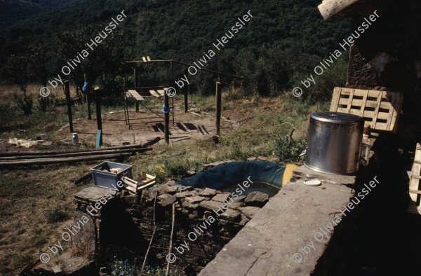 Image of sheet 19903000 photo 80: Von Gras ueberwucherter leerer Fernseh Monitor liegt auf der Erde. 1990 im St. Affrique, Aveyron. Frankreich.

19903000 04
TV; Fernseher; Monitor; Gras; Erde; Medien; kaputt; zerstoert; defekt; leer; Rahmen

{