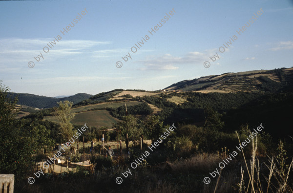 Image of sheet 19903000 photo 82: Von Gras ueberwucherter leerer Fernseh Monitor liegt auf der Erde. 1990 im St. Affrique, Aveyron. Frankreich.

19903000 04
TV; Fernseher; Monitor; Gras; Erde; Medien; kaputt; zerstoert; defekt; leer; Rahmen

{