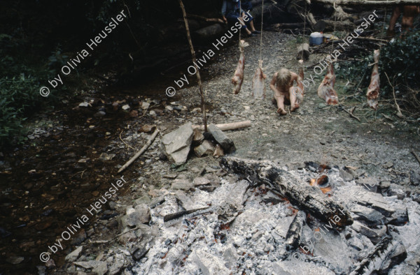 Image of sheet 19903000 photo 89: Von Gras ueberwucherter leerer Fernseh Monitor liegt auf der Erde. 1990 im St. Affrique, Aveyron. Frankreich.

19903000 04
TV; Fernseher; Monitor; Gras; Erde; Medien; kaputt; zerstoert; defekt; leer; Rahmen

{