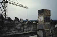 Image of sheet 19903001 photo 18: f