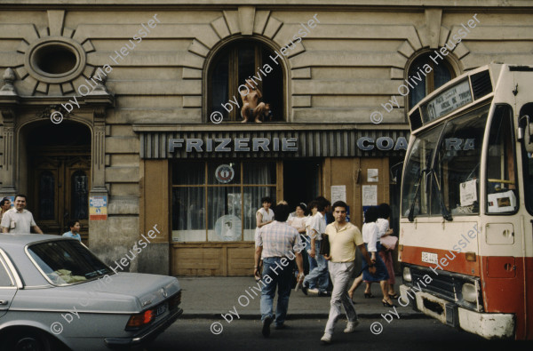 Image of sheet 19903002 photo 105: Illiescus vor Polizisten  in Brasov am 17. Mai 1990. Flowers in front of the policemen, from the fanatical part of the electoral rally of Iliescu.  

Protest; Blumen; Frauen; Polizei; Beamte; Maenner; Uniform; Brasov; Wahlen; 
Exhibition Bildbruchbild