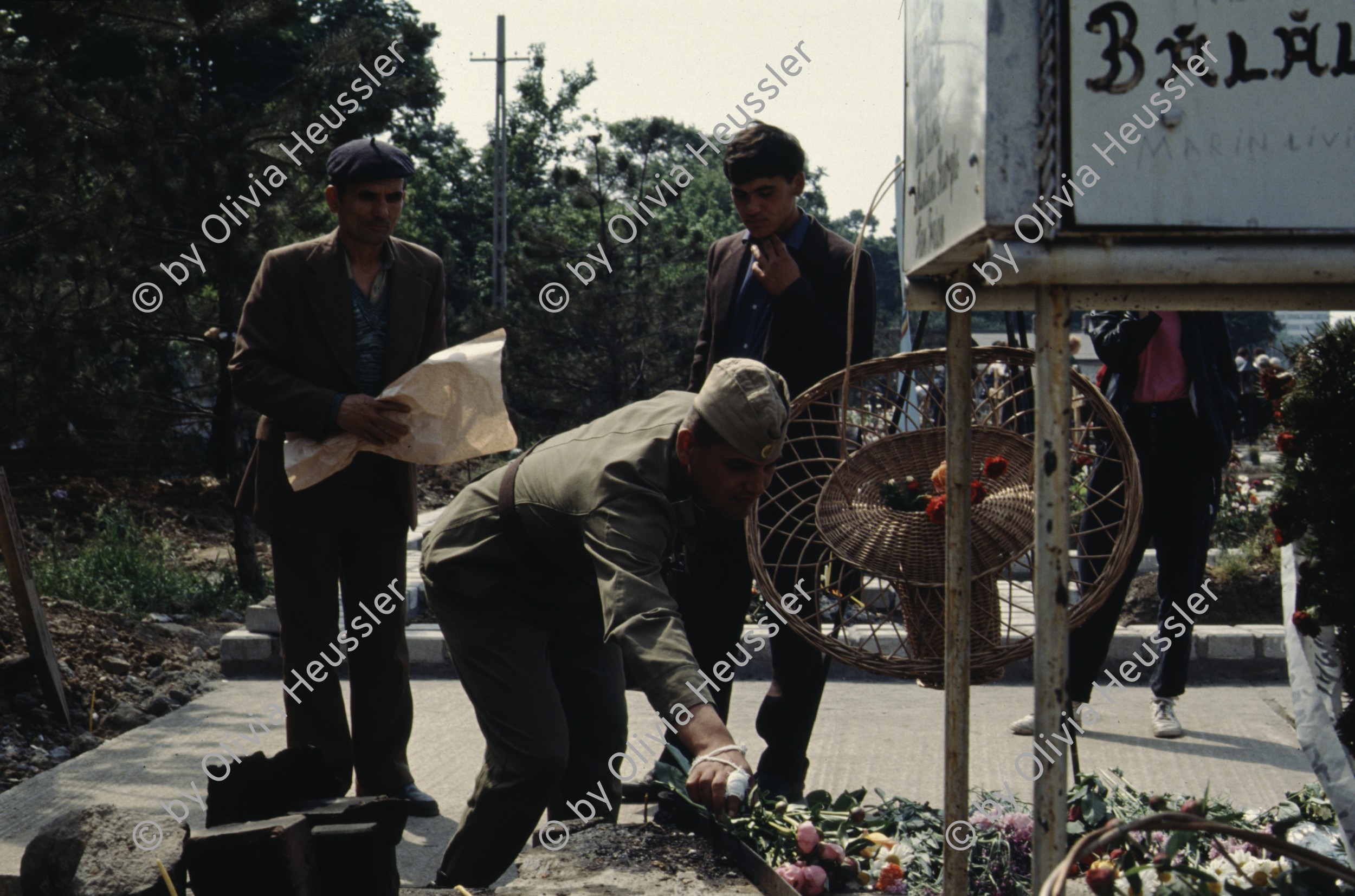 Image of sheet 19903002 photo 106: Illiescus vor Polizisten  in Brasov am 17. Mai 1990. Flowers in front of the policemen, from the fanatical part of the electoral rally of Iliescu.  

Protest; Blumen; Frauen; Polizei; Beamte; Maenner; Uniform; Brasov; Wahlen; 
Exhibition Bildbruchbild