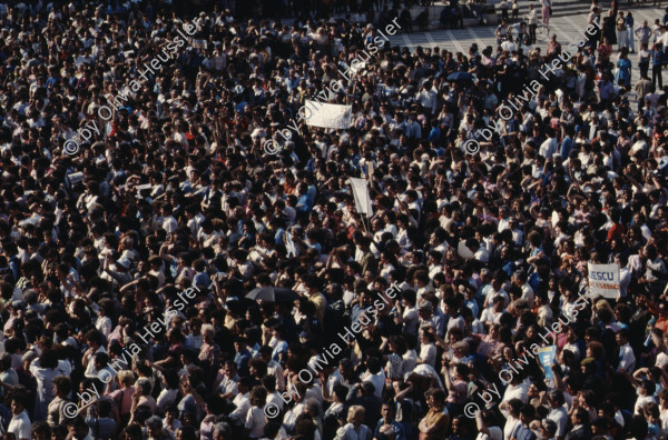 Image of sheet 19903002 photo 145: Illiescus vor Polizisten  in Brasov am 17. Mai 1990. Flowers in front of the policemen, from the fanatical part of the electoral rally of Iliescu.  

Protest; Blumen; Frauen; Polizei; Beamte; Maenner; Uniform; Brasov; Wahlen; 
Exhibition Bildbruchbild