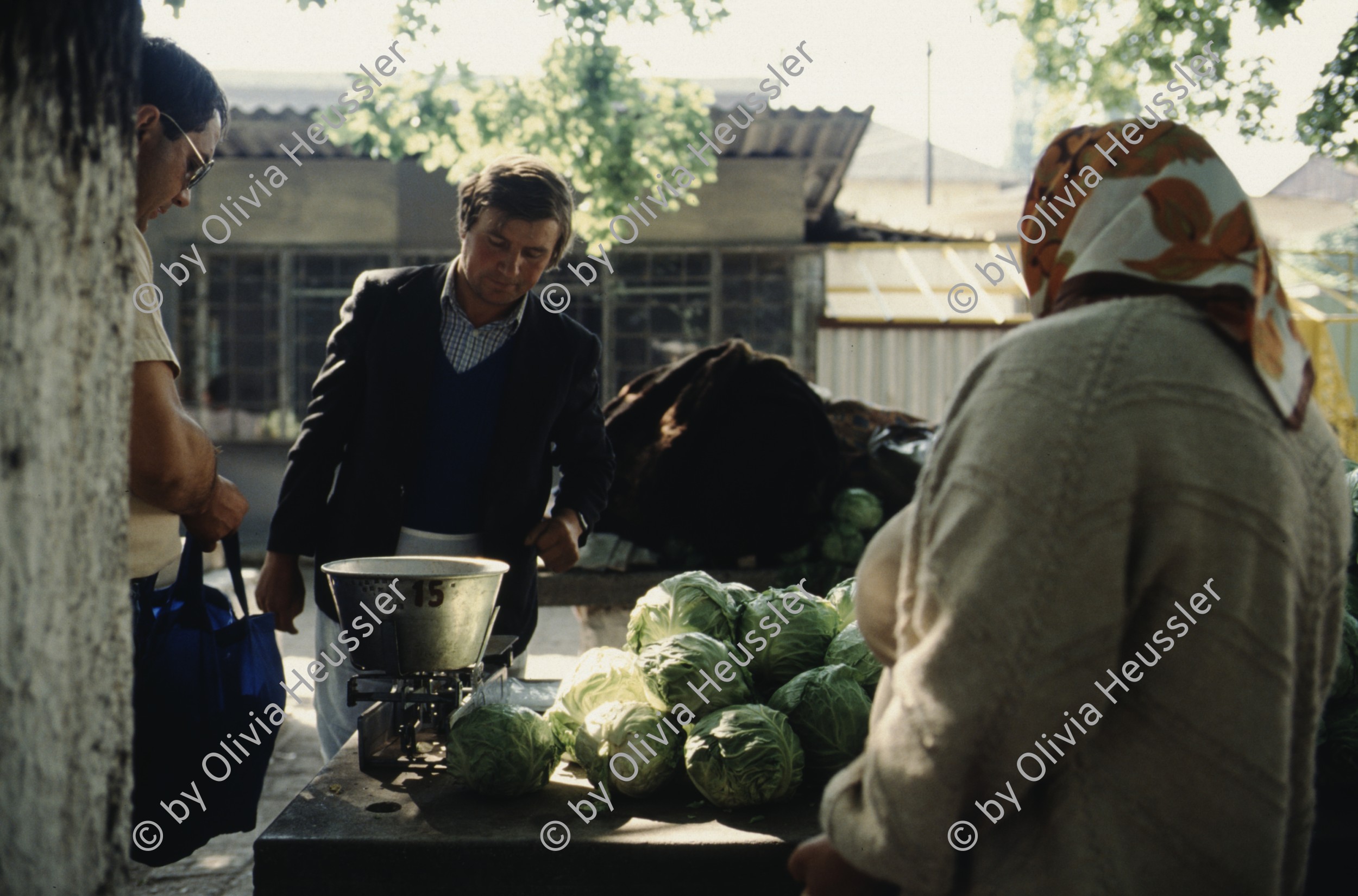 Image of sheet 19903002 photo 160: Julian Mihai (2.v.r.) ist Vorsitzender einer Roma partei, Sibiu, Rumaenien 1990. 
Ilie Mihai 2.nd from right, chief of one of the Gypsyes Parties in Rumania, and his family in front of their house. Europa