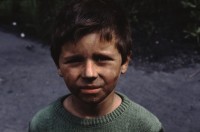 Image of sheet 19903002 photo 170: s