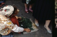 Image of sheet 19903002 photo 173: cu.