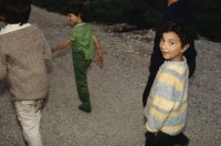 Image of sheet 19903002 photo 175: d
