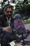 Image of sheet 19903002 photo 176: s