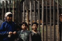 Image of sheet 19903002 photo 177: i
