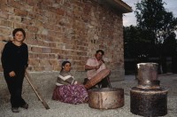 Image of sheet 19903002 photo 178: i