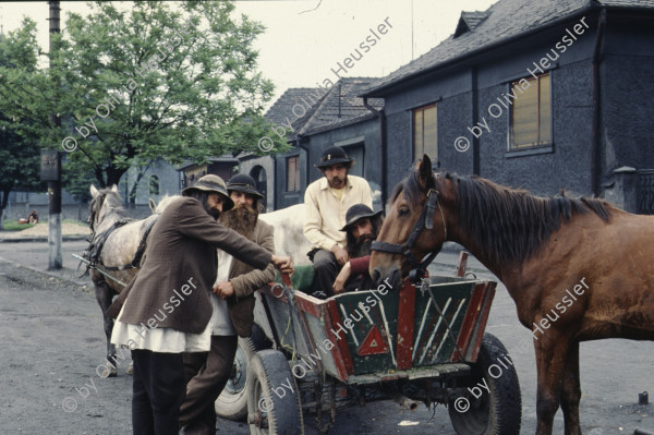 Image of sheet 19903002 photo 42: Angehörige des FSN (Frontul Salvari National) demonstrieren mit Blumen für die Unterstuetzung Ion Illiescus vor Polizisten  in Brasov am 17. Mai 1990. Rumaenien, Europa. // Flowers in front of the policemen, from the fanatical part of the electoral rally of Iliescu.  

19903002 12
Protest; Blumen; Frauen; Polizei; Beamte; Maenner; Uniform; Brasov; Wahlen; Iliescu; Demonstration
Rom Partei Wahlen Romanes
Zigeuner