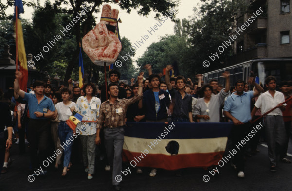 Image of sheet 19903002 photo 43: Angehörige des FSN (Frontul Salvari National) demonstrieren mit Blumen für die Unterstuetzung Ion Illiescus vor Polizisten  in Brasov am 17. Mai 1990. Rumaenien, Europa. // Flowers in front of the policemen, from the fanatical part of the electoral rally of Iliescu.  

19903002 12
Protest; Blumen; Frauen; Polizei; Beamte; Maenner; Uniform; Brasov; Wahlen; Iliescu; Demonstration
Rom Partei Wahlen Romanes
Zigeuner