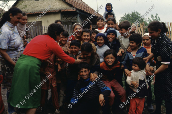 Image of sheet 19903002 photo 63: Angehörige des FSN (Frontul Salvari National) demonstrieren mit Blumen für die Unterstuetzung Ion Illiescus vor Polizisten  in Brasov am 17. Mai 1990. Rumaenien, Europa. // Flowers in front of the policemen, from the fanatical part of the electoral rally of Iliescu.  

19903002 12
Protest; Blumen; Frauen; Polizei; Beamte; Maenner; Uniform; Brasov; Wahlen; Iliescu; Demonstration
Rom Partei Wahlen Romanes
Zigeuner