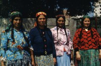 Image of sheet 19903002 photo 64: Angehörige des FSN (Frontul Salvari National) demonstrieren mit Blumen für die Unterstuetzung Ion Illiescus vor Polizisten  in Brasov am 17. Mai 1990. Rumaenien, Europa. // Flowers in front of the policemen, from the fanatical part of the electoral rally of Iliescu.  

19903002 12
Protest; Blumen; Frauen; Polizei; Beamte; Maenner; Uniform; Brasov; Wahlen; Iliescu; Demonstration
Rom Partei Wahlen Romanes
Zigeuner