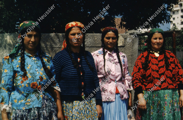 Image of sheet 19903002 photo 64: Angehörige des FSN (Frontul Salvari National) demonstrieren mit Blumen für die Unterstuetzung Ion Illiescus vor Polizisten  in Brasov am 17. Mai 1990. Rumaenien, Europa. // Flowers in front of the policemen, from the fanatical part of the electoral rally of Iliescu.  

19903002 12
Protest; Blumen; Frauen; Polizei; Beamte; Maenner; Uniform; Brasov; Wahlen; Iliescu; Demonstration
Rom Partei Wahlen Romanes
Zigeuner