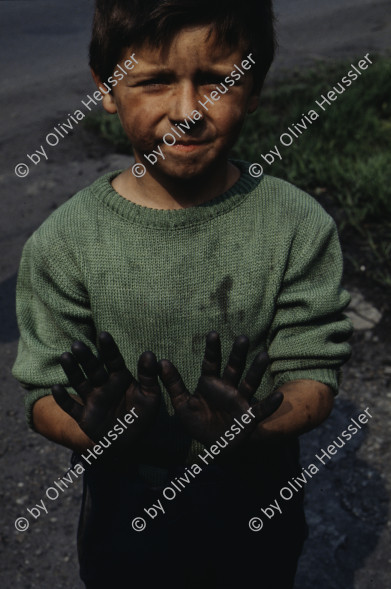 Image of sheet 19903002 photo 69: Angehörige des FSN (Frontul Salvari National) demonstrieren mit Blumen für die Unterstuetzung Ion Illiescus vor Polizisten  in Brasov am 17. Mai 1990. Rumaenien, Europa. // Flowers in front of the policemen, from the fanatical part of the electoral rally of Iliescu.  

19903002 12
Protest; Blumen; Frauen; Polizei; Beamte; Maenner; Uniform; Brasov; Wahlen; Iliescu; Demonstration
Rom Partei Wahlen Romanes
Zigeuner