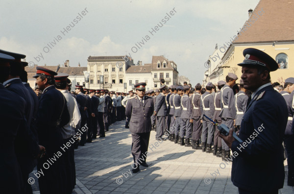 Image of sheet 19903002 photo 7: Angehörige des FSN (Frontul Salvari National) demonstrieren mit Blumen für die Unterstuetzung Ion Illiescus vor Polizisten  in Brasov am 17. Mai 1990. Rumaenien, Europa. // Flowers in front of the policemen, from the fanatical part of the electoral rally of Iliescu.  

19903002 12
Protest; Blumen; Frauen; Polizei; Beamte; Maenner; Uniform; Brasov; Wahlen; Iliescu; Demonstration
Rom Partei Wahlen Romanes
Zigeuner