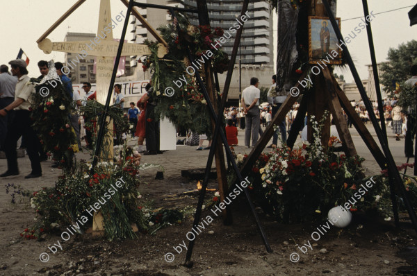 Image of sheet 19903002 photo 74: Angehörige des FSN (Frontul Salvari National) demonstrieren mit Blumen für die Unterstuetzung Ion Illiescus vor Polizisten  in Brasov am 17. Mai 1990. Rumaenien, Europa. // Flowers in front of the policemen, from the fanatical part of the electoral rally of Iliescu.  

19903002 12
Protest; Blumen; Frauen; Polizei; Beamte; Maenner; Uniform; Brasov; Wahlen; Iliescu; Demonstration
Rom Partei Wahlen Romanes
Zigeuner