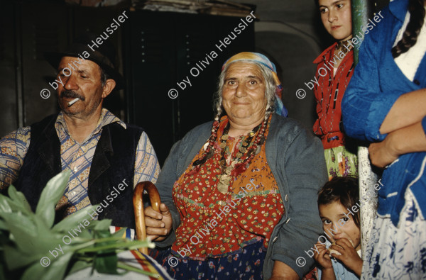 Image of sheet 19903002 photo 83: Angehörige des FSN (Frontul Salvari National) demonstrieren mit Blumen für die Unterstuetzung Ion Illiescus vor Polizisten  in Brasov am 17. Mai 1990. Rumaenien, Europa. // Flowers in front of the policemen, from the fanatical part of the electoral rally of Iliescu.  

19903002 12
Protest; Blumen; Frauen; Polizei; Beamte; Maenner; Uniform; Brasov; Wahlen; Iliescu; Demonstration
Rom Partei Wahlen Romanes
Zigeuner