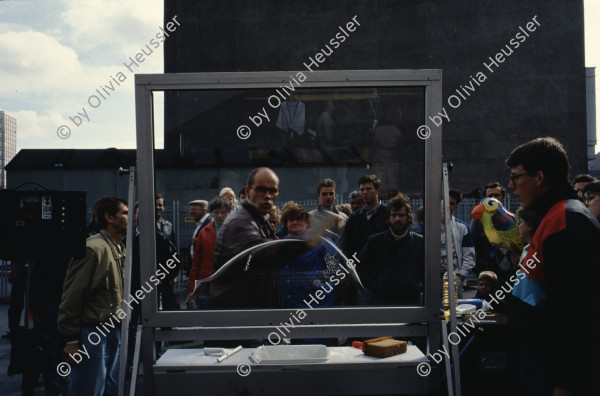 Image of sheet 19903003 photo 17: Während den Feierlichkeiten zur Wiedervereinigung von Ost- und Westdeutschland am Brandenburgertor, Berlin DDR 2. Oktober 1990.
Vietnamesische Vertragsarbeiterinnen mit ihren Neugeborenen nach der Kuendigung. 28. September 1990. Marzahn, Berlin, Deutschland, Europa.

19903003 15
Frauen; Vertragsarbeiterinnen; Vietnam; Imigrantinnen; Emigrantinnen; gekuendet; Kuendigung; Arbeit; arbeitslos; Plattenbau; Siedlung; DDR ; Berlin ; Germany ; Europe