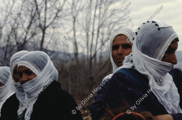 Image of sheet 19903004 photo 27: Beerdigung einer kurdischen Mutter und Bäuerin, Lice kurdische Türkei 1990.
Beerdigung in Dabulö. Die Tochter der getöteten Bäuerin Kudret Filiz, sitzt am Rande und schreit ununterbrochen bis ihr alle Glieder zu schmerzen beginnen. Als Mädchen dürfte sie nicht unter den Männer an der Beerdigung teilnehmen