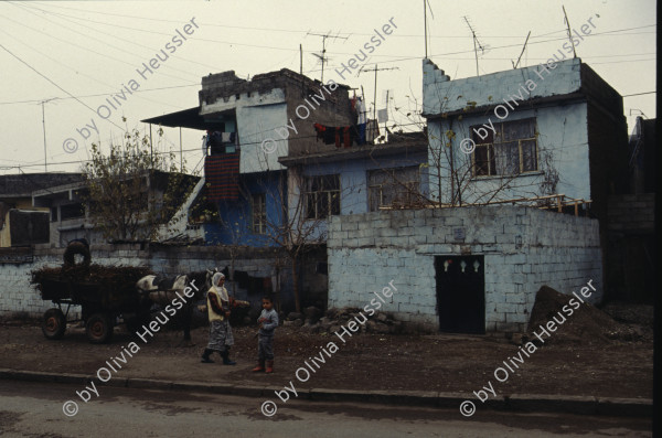 Image of sheet 19903005 photo 15: Dijarbakir, kurdische Türkei 1990.