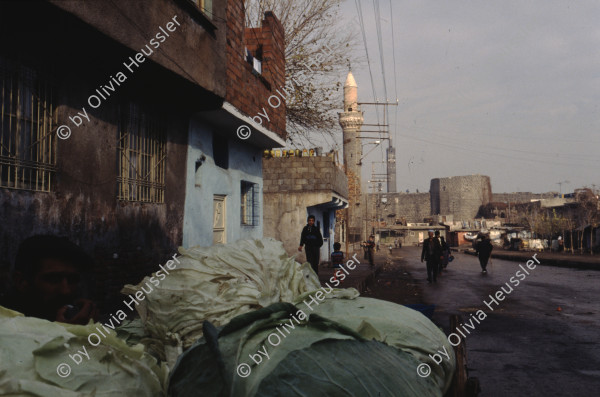 Image of sheet 19903005 photo 6: Dijarbakir, kurdische Türkei 1990.