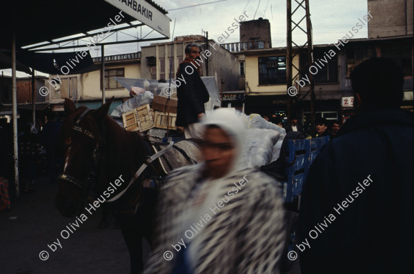 Image of sheet 19903005 photo 9: Exhibition Bildbruchbild