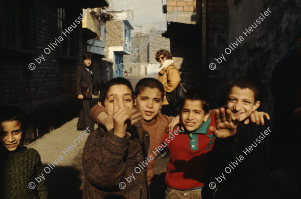 Image of sheet 19903006 photo 11: kurdische Türkei 1990.